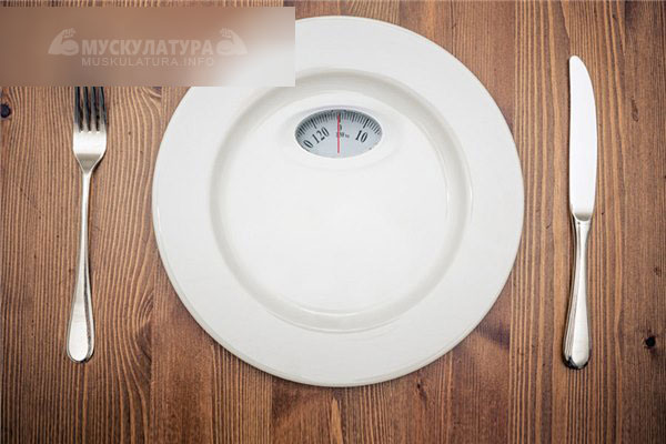 Формула расчета суточной нормы калорий - какая самая точная