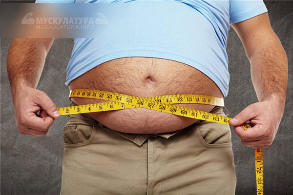 Как похудеть мужчине - простая стратегия похудения для парней