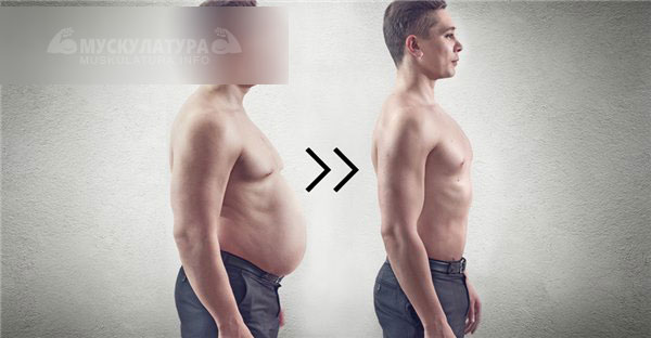 Как похудеть: почему люди толстеют даже при резком сокращении питания