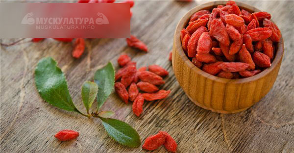 Китайские ягоды годжи для мужчин - вред или польза для похудения