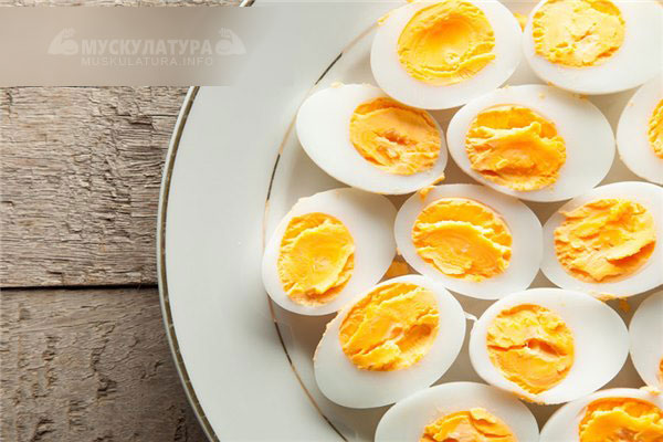 Сколько куриных яиц можно съедать в день без вреда здоровью