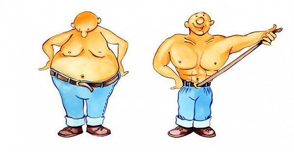 Как набирать массу тела худому парню - основные аспекты тренировки эктоморфа